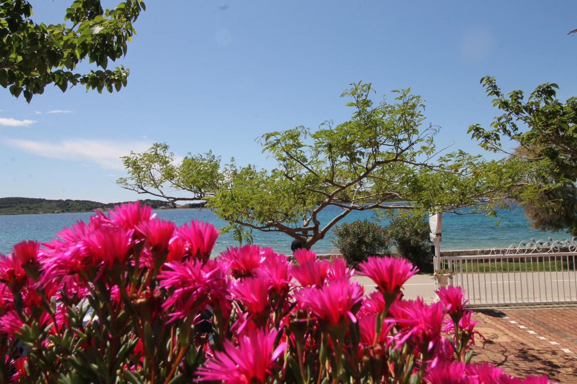 Villa Aurelia Vodice Buitenkant foto